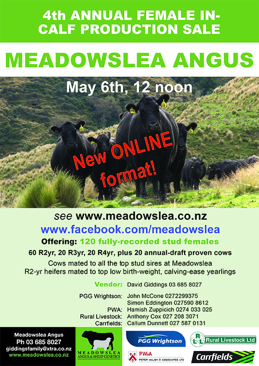 Advertisement online