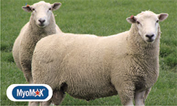 Kelso Maternal thumbnail2