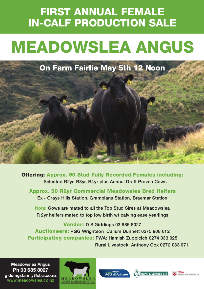 Meadowslea 2017 A4 flyer HR