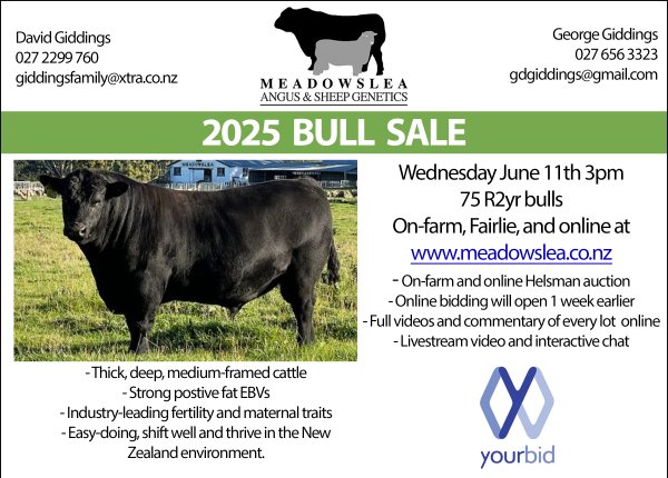 Bullsale advert landscape3