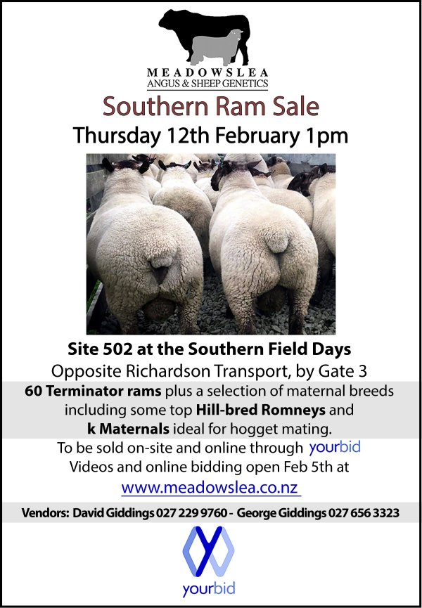 2026 Southern Ram Sale copy