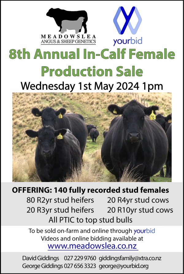 2024 cow sale poster