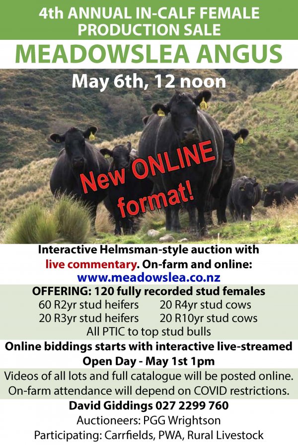 New cow sale ad 18.8x28