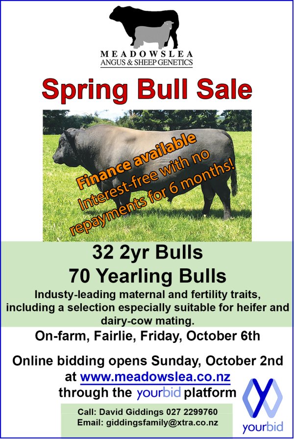Spring bull ad 2023 finance