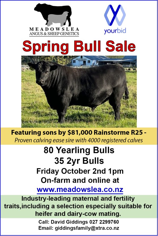 Spring bull ad 2026 copy
