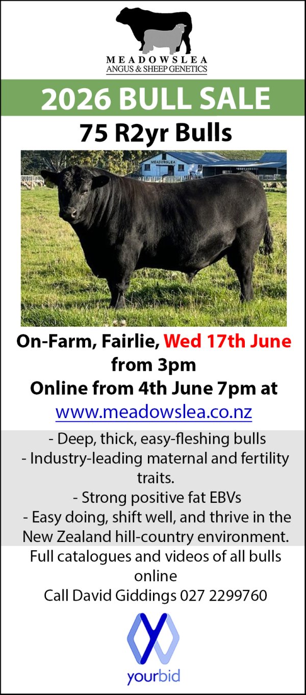 Portrait format advert copy