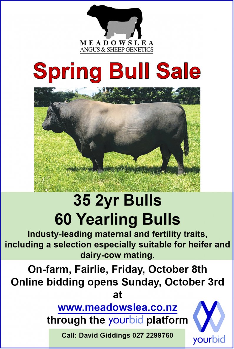 Spring bull ad 2021