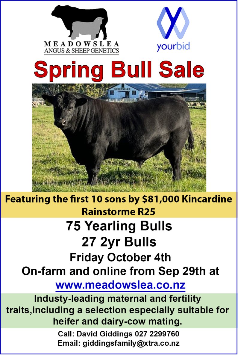 Spring bull ad 2024