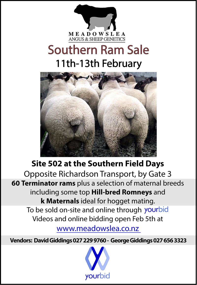 2026 Southern Ram Sale