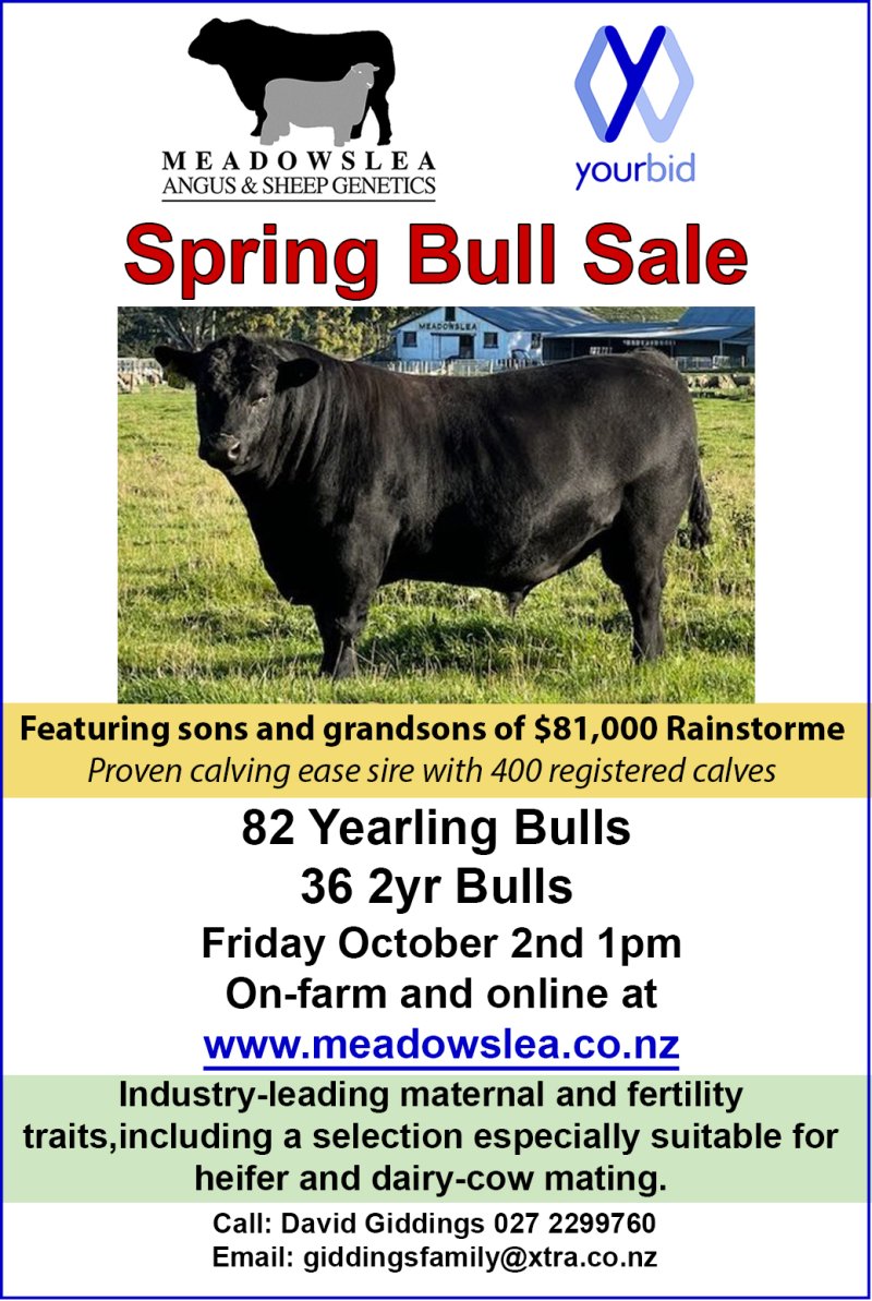 Spring bull ad 2026 copy2